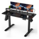 Gaming table AY-4 Dual Motor - 120CM